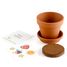 I grow my Flytrap RC-027001 Radis et Capucine 5
