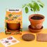 I grow my Dancing Plant RC-028733 Radis et Capucine 3