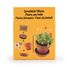 I grow my Bubbling plant RC-029637 Radis et Capucine 4