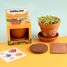 I grow my Bubbling plant RC-029637 Radis et Capucine 2