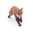 Fox figure 53020-3625 Papo 4