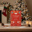 Red Advent Calendar - 24 little books SJ-5742 Sassi Junior 9