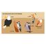 Book and Puzzle Birds SJ-329331 Sassi Junior 5