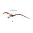 The era of the dinosaurs - 3D Pteranodon SJ-8992 Sassi Junior 2