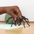 Aragog figurine SC-13987 Schleich 3