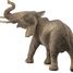 Male African Elephant Figurine SC-14762 Schleich 2