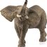 Male African Elephant Figurine SC-14762 Schleich 1