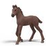 Horse Club Advent Calendar 3 SC-99178 Schleich 7