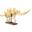 Stegosaurus skeleton 297 pieces C59012W CaDA 2