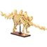 Stegosaurus skeleton 297 pieces C59012W CaDA 1