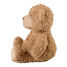 Teddy hot water bottle plush WA-AR0115 Warmies 3