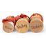 Robin's Nest Box TL8378 Tender Leaf Toys 5