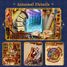 Book Nook Magical library T-TQ134 Tonecheer 4