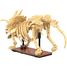 Triceratops skeleton 272 pieces C59013W CaDA 2