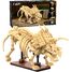 Triceratops skeleton 272 pieces C59013W CaDA 4
