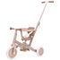 4-in-1 pink tricycle LD6080-PINK Little Dutch 6