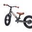 Trybike Steel Balance Bike matte grey TBS-2-ANTM Trybike 2