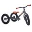 Trybike Steel Balance Bike 2-in-1 matte grey TBS-3-ANTM Trybike 1
