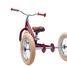 Trybike Steel Balance Bike 2-in-1 matte red TBS-3-REDM-VIN Trybike 4