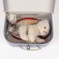 Veterinary case Romy the cat EG570118 Egmont Toys 3