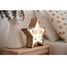 Customizable lighting star VI-ES14USBC Vintiun 4