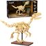 Velociraptor skeleton 256 pieces C59014W CaDA 4