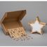 Customizable lighting star VI-ES14USBC Vintiun 5