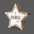 Customizable lighting star VI-ES14USBC Vintiun 6