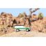 SUV Green Big Sur C-M1201 Candylab Toys 5