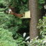 Squirrel feeder ED-WA09 Esschert Design 4