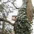 Squirrel house ED-WA10 Esschert Design 3