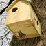 Squirrel house ED-WA10 Esschert Design 1