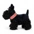 Walter the plush dog 17 cm EG130618 Egmont Toys 2