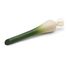 Spring Onion ER12051 Erzi 1