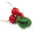 Radish, Bunch ER12080 Erzi 1