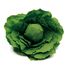 Lettuce ER12280 Erzi 1