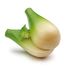 Fennel Bulb ER12290 Erzi 1