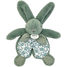 Green rabbit doudou 18 cm DC4191 Doudou et Compagnie 1
