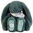 Green Fleurette Rabbit Plush 35 cm DC4305 Doudou et Compagnie 1