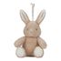 Cuddle Bunny Light and Sound LD8441 Little Dutch 1