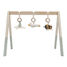 Baby gym Little Goose LD8510 Little Dutch 1
