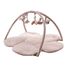 Activity play mat Flowers Butterflies