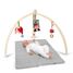 Baby spyder wood gym F&F1401-4001-4402 Franck & Fischer 1