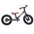 Trybike Steel Balance Bike matte grey TBS-2-ANTM Trybike 1
