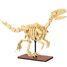 Velociraptor skeleton 256 pieces C59014W CaDA 1