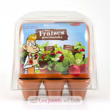 Mini greenhouse - Strawberries RC-033237 Radis et Capucine 1