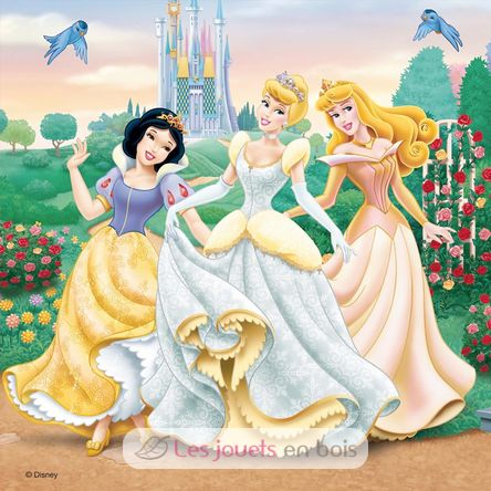 Puzzle Disney Princess Dreams 3x49 pcs RAV-09411 Ravensburger 5