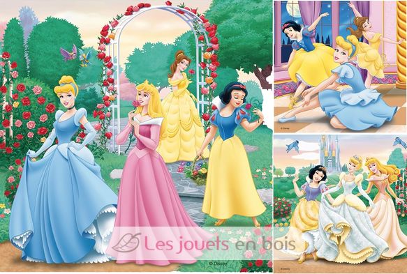 Puzzle Disney Princess Dreams 3x49 pcs RAV-09411 Ravensburger 3