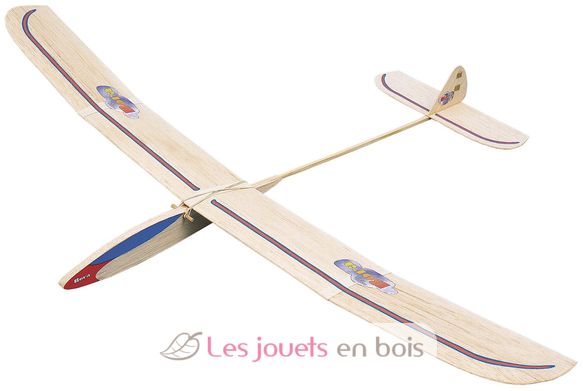 Bora Glider AN-102200 Aero-naut 1