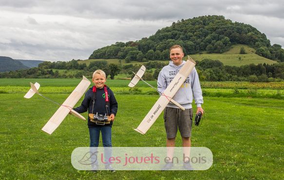 Glider Lilienthal 40 RC AN-108400 Aero-naut 10